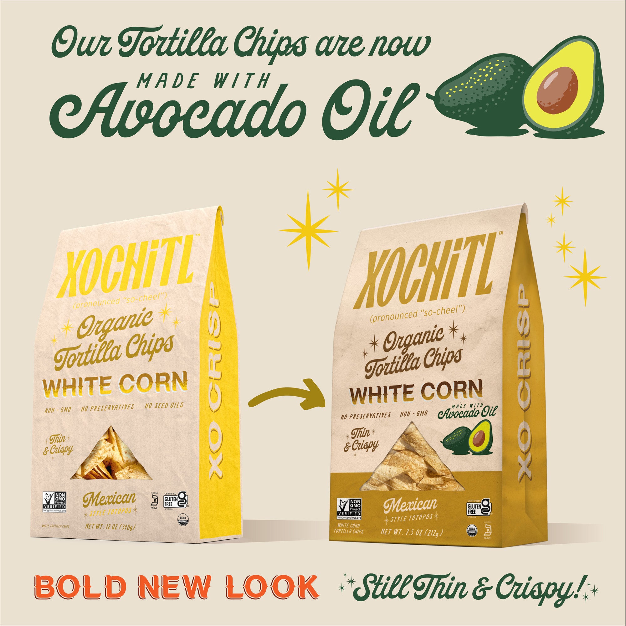 エッセンシャルオイル chipicloset Amazon.com: C60 Evo MCT Oil from Coconuts with C60 ESS60, Immune