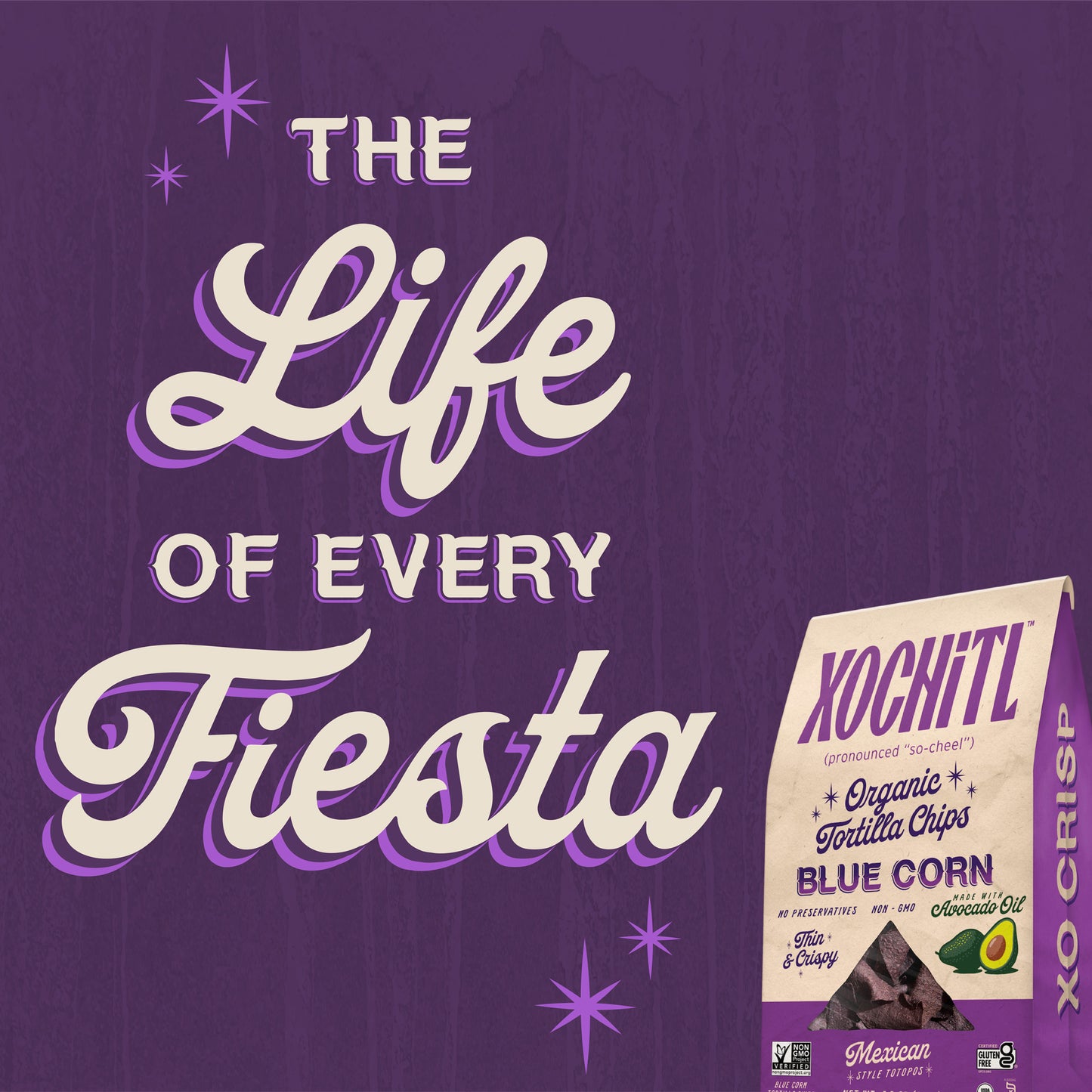 Organic Blue Tortilla Chips