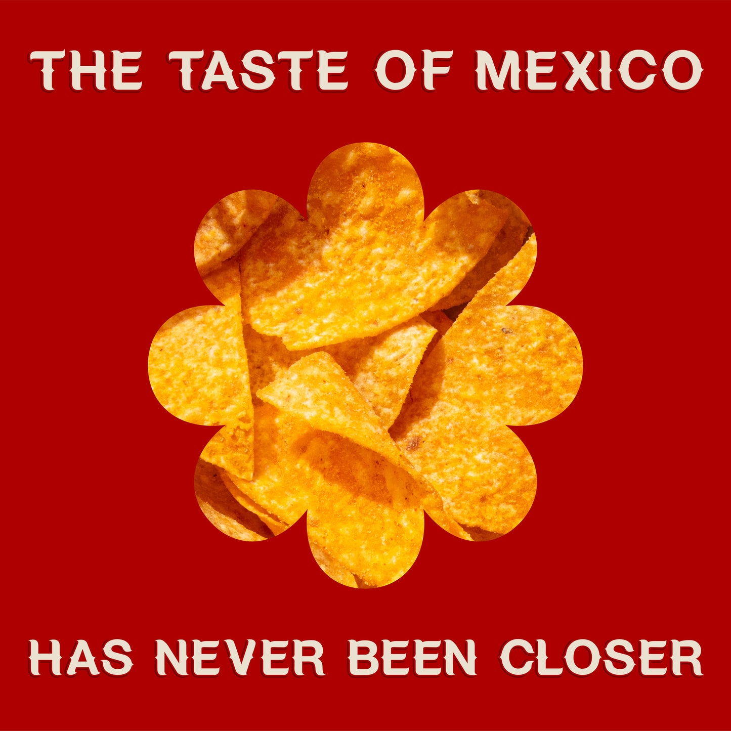 Cholula Hot Sauce Tortilla Chips