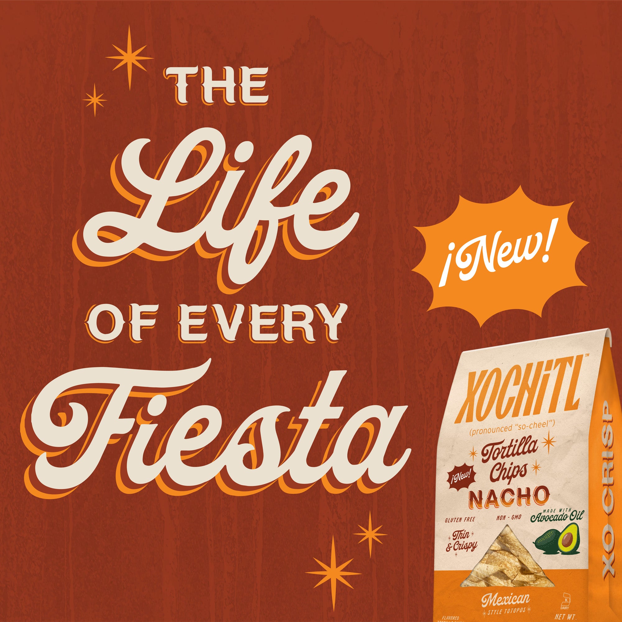 Nacho Tortilla Chips – Xochitl Chips and Salsa