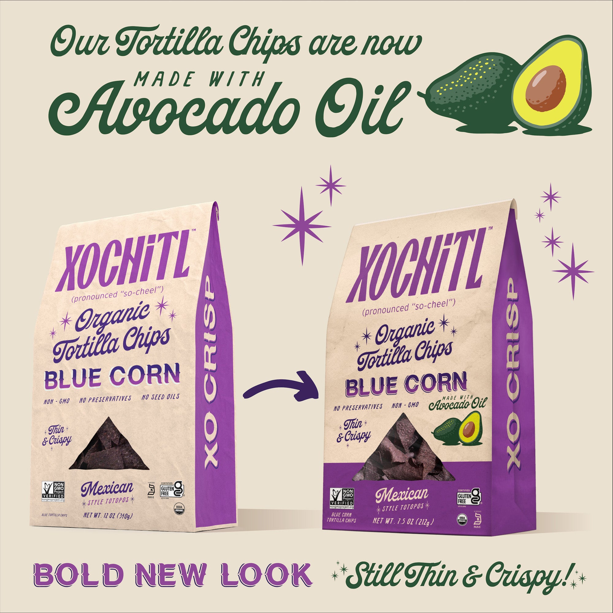 Organic Blue Tortilla Chips – Xochitl Chips and Salsa